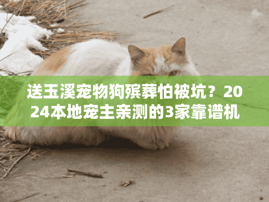 送玉溪宠物狗殡葬怕被坑？2024本地宠主亲测的3家靠谱机构+避坑攻略