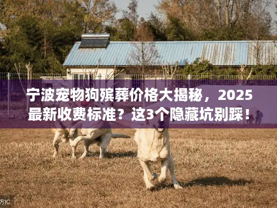 宁波宠物狗殡葬价格大揭秘，2025最新收费标准？这3个隐藏坑别踩！