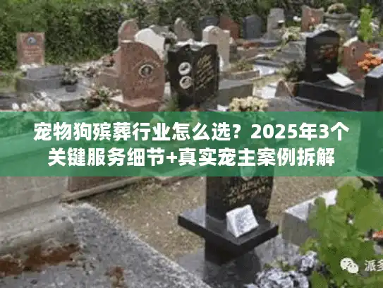 宠物狗殡葬行业怎么选？2025年3个关键服务细节+真实宠主案例拆解