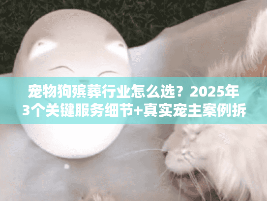 宠物狗殡葬行业怎么选？2025年3个关键服务细节+真实宠主案例拆解