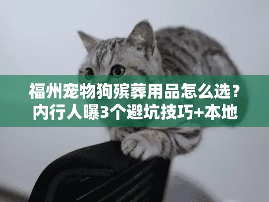 福州宠物狗殡葬用品怎么选？内行人曝3个避坑技巧+本地刚需清单