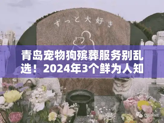 青岛宠物狗殡葬服务别乱选!2024年3个鲜为人知的门道+真实案例 青岛宠物狗殡葬服务别乱选!2024年3个鲜为人知的门道+真实案例