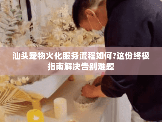 汕头宠物火化服务流程如何?这份终极指南解决告别难题