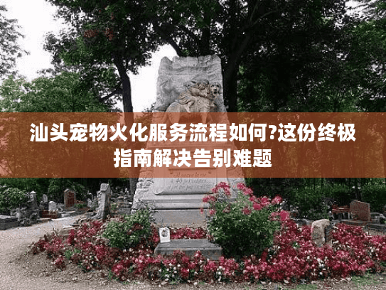 汕头宠物火化服务流程如何?这份终极指南解决告别难题