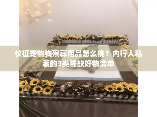 仪征宠物狗殡葬用品怎么挑？内行人私藏的3类稀缺好物清单