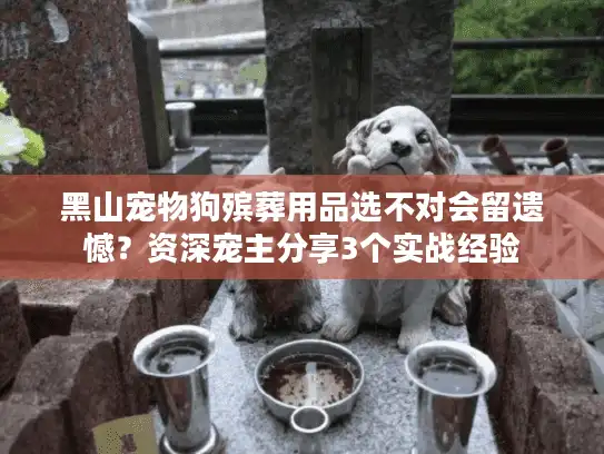 黑山宠物狗殡葬用品选不对会留遗憾？资深宠主分享3个实战经验