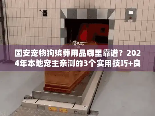 固安宠物狗殡葬用品哪里靠谱?2024年本地宠主亲测的3个实用技巧+良心商家推荐 固安宠物狗殡葬用品哪里靠谱?2024年本地宠主亲测的3个实用技巧+良心商家推荐