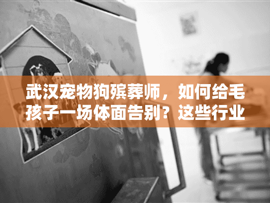 武汉宠物狗殡葬师,如何给毛孩子一场体面告别?这些行业内幕90%的人不知道 武汉宠物狗殡葬师,如何给毛孩子一场体面告别?这些行业内幕90%的人不知道