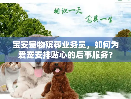 宝安宠物殡葬业务员,如何为爱宠安排贴心的后事服务? 宝安宠物殡葬业务员,如何为爱宠安排贴心的后事服务?