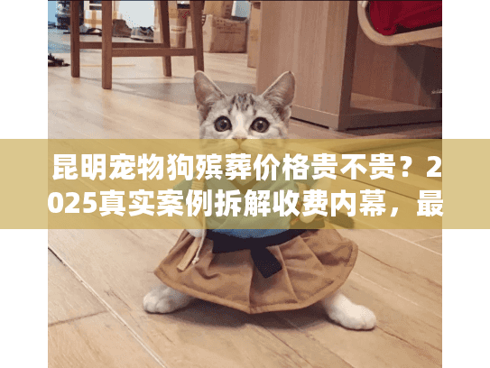 昆明宠物狗殡葬价格贵不贵？2025真实案例拆解收费内幕，最新标准一文看懂！