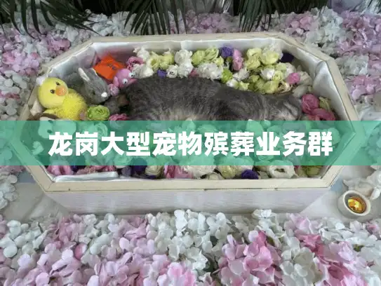 龙岗大型宠物殡葬业务群