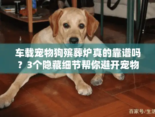 车载宠物狗殡葬炉真的靠谱吗?3个隐藏细节帮你避开宠物殡葬服务的坑 车载宠物狗殡葬炉真的靠谱吗?3个隐藏细节帮你避开宠物殡葬服务的坑