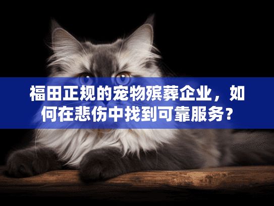 福田正规的宠物殡葬企业，如何在悲伤中找到可靠服务？