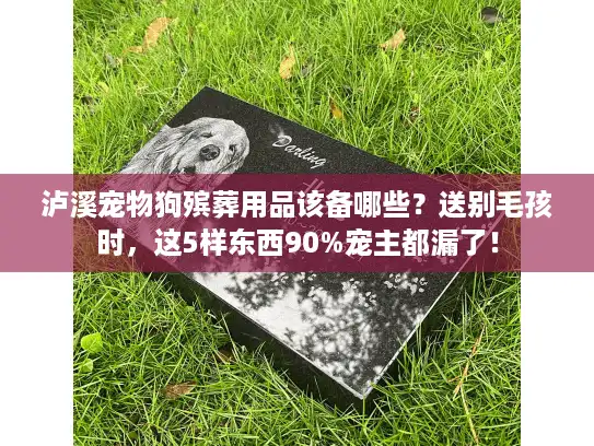 泸溪宠物狗殡葬用品该备哪些？送别毛孩时，这5样东西90%宠主都漏了！