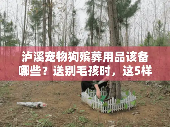 泸溪宠物狗殡葬用品该备哪些？送别毛孩时，这5样东西90%宠主都漏了！