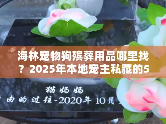 海林宠物狗殡葬用品哪里找?2025年本地宠主私藏的5类刚需好物清单 海林宠物狗殡葬用品哪里找?2025年本地宠主私藏的5类刚需好物清单