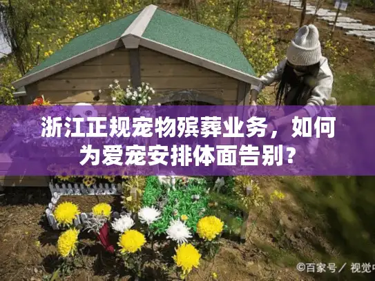 浙江正规宠物殡葬业务，如何为爱宠安排体面告别？