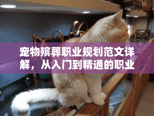宠物殡葬职业规划范文详解，从入门到精通的职业发展路线图