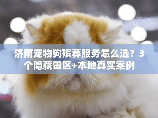 济南宠物狗殡葬服务怎么选？3个隐藏雷区+本地真实案例