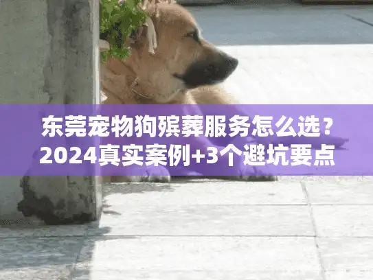 东莞宠物狗殡葬服务怎么选？2024真实案例+3个避坑要点（内行人很少说）