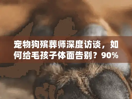宠物狗殡葬师深度访谈，如何给毛孩子体面告别？90%主人不知道的细节