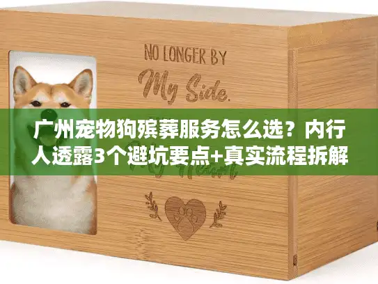 广州宠物狗殡葬服务怎么选？内行人透露3个避坑要点+真实流程拆解