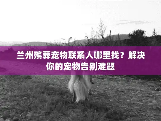 兰州殡葬宠物联系人哪里找?解决你的宠物告别难题 兰州殡葬宠物联系人哪里找?解决你的宠物告别难题