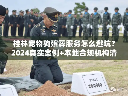 桂林宠物狗殡葬服务怎么避坑？2024真实案例+本地合规机构清单