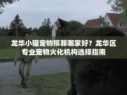 龙华小猫宠物殡葬哪家好？龙华区专业宠物火化机构选择指南
