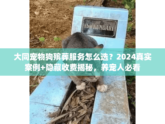 大同宠物狗殡葬服务怎么选？2024真实案例+隐藏收费揭秘，养宠人必看