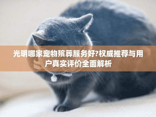 光明哪家宠物殡葬服务好?权威推荐与用户真实评价全面解析