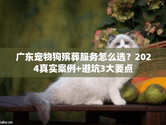 广东宠物狗殡葬服务怎么选？2024真实案例+避坑3大要点