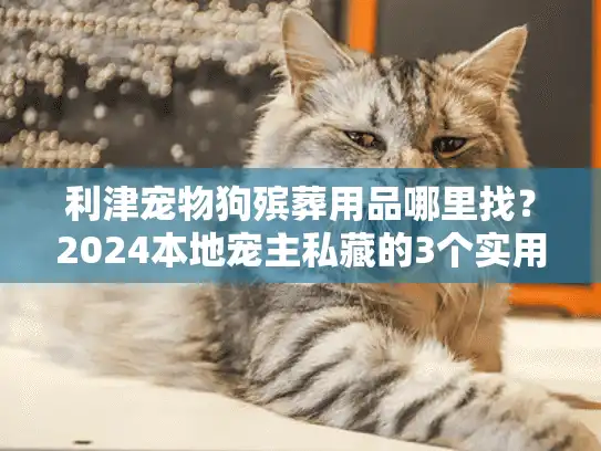 利津宠物狗殡葬用品哪里找？2024本地宠主私藏的3个实用渠道+暖心用品清单