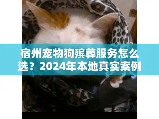 宿州宠物狗殡葬服务怎么选?2024年本地真实案例+行业内幕首次公开 宿州宠物狗殡葬服务怎么选?2024年本地真实案例+行业内幕首次公开