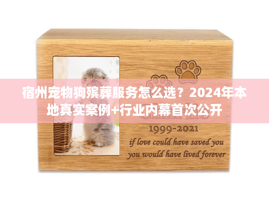 宿州宠物狗殡葬服务怎么选?2024年本地真实案例+行业内幕首次公开 宿州宠物狗殡葬服务怎么选?2024年本地真实案例+行业内幕首次公开