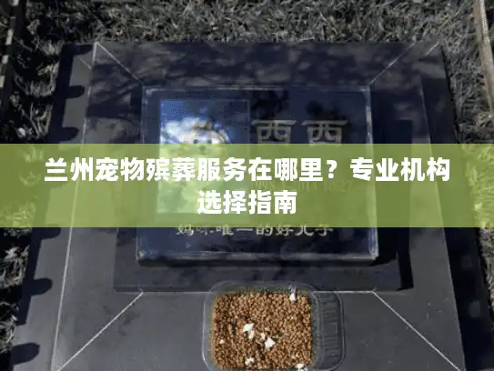 兰州宠物殡葬服务在哪里？专业机构选择指南