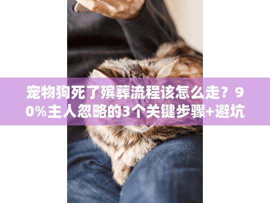 宠物狗死了殡葬流程该怎么走？90%主人忽略的3个关键步骤+避坑指南