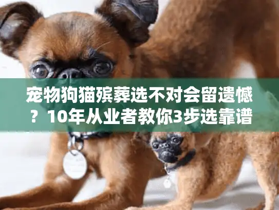 宠物狗猫殡葬选不对会留遗憾？10年从业者教你3步选靠谱服务