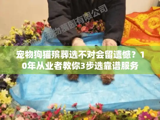 宠物狗猫殡葬选不对会留遗憾？10年从业者教你3步选靠谱服务