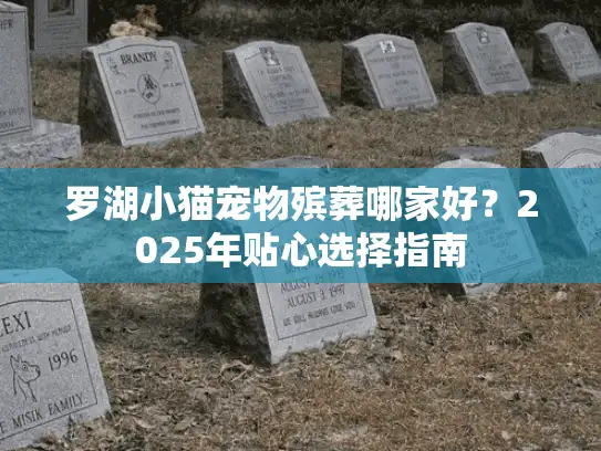 罗湖小猫宠物殡葬哪家好？2025年贴心选择指南