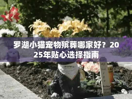 罗湖小猫宠物殡葬哪家好？2025年贴心选择指南