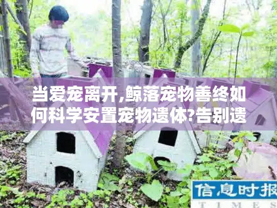 当爱宠离开,鲸落宠物善终如何科学安置宠物遗体?告别遗体处理焦虑