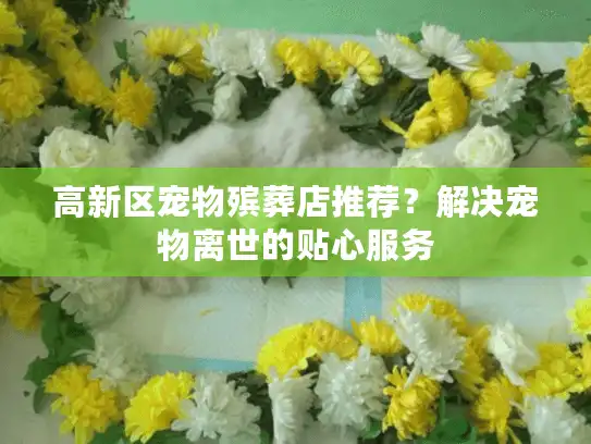高新区宠物殡葬店推荐？解决宠物离世的贴心服务
