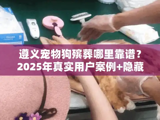 遵义宠物狗殡葬哪里靠谱？2025年真实用户案例+隐藏服务清单曝光