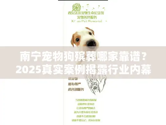 南宁宠物狗殡葬哪家靠谱？2025真实案例揭露行业内幕，选对不踩雷！