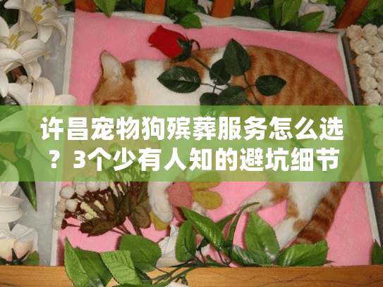 许昌宠物狗殡葬服务怎么选？3个少有人知的避坑细节+真实案例分享