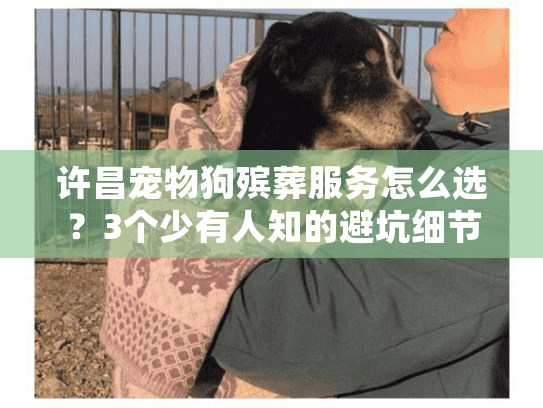 许昌宠物狗殡葬服务怎么选？3个少有人知的避坑细节+真实案例分享