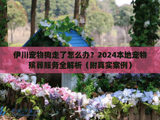 伊川宠物狗走了怎么办？2024本地宠物殡葬服务全解析（附真实案例）