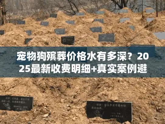 宠物狗殡葬价格水有多深？2025最新收费明细+真实案例避坑技巧