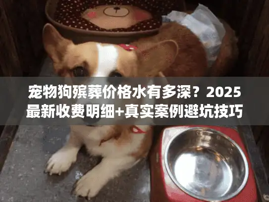 宠物狗殡葬价格水有多深？2025最新收费明细+真实案例避坑技巧